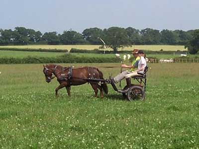 Longwood Farm